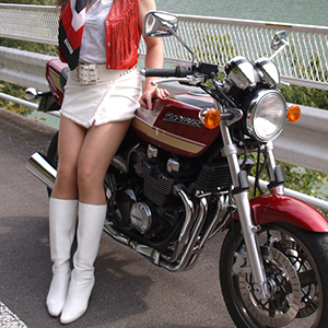 おっきなバイクじゃないと釣り合わない見たい。。